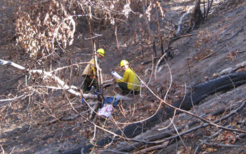 Two researchers in the forest conducting a post-fire survey