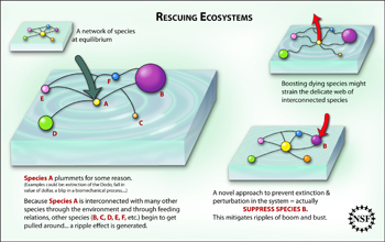 Illustration showing how some extinctions or network failures can be avoided.