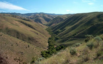 View of the Idaho Dry Creek