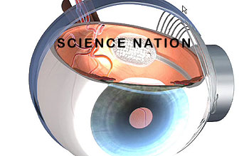 Diagram showing how artificial retina works