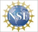 NSf logo