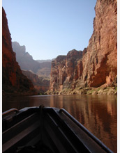 Photo of scientist John Sabo navigating a Grand Canyon study site with rapids in the background.