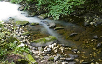 Photo of harmless titanium dioxide tracer which is added to streams and rivers to track carbon flow.