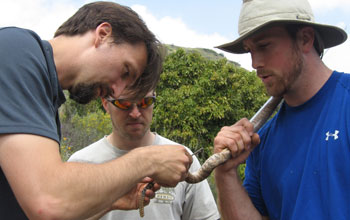 Rulon Clark marks a rattlesanke being held in a tube by Matthew Barbour.