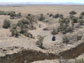 Photo of the southeast channel of the Bidart Fan, Carrizo Plain, looking downstream.