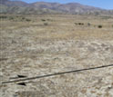 Photo of an offset stream channel along the Carrizo Plain section of the San Andreas Fault.