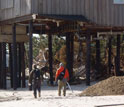 Tow scientists walking on the beach under houses to study erosion from Sandy