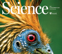 Science cover