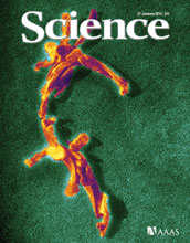 Cover of the January 27, 2012 issue of the journal Science.