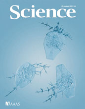 Cover of the January 29, 2010, issue of the journal Science.