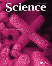 Cover of the February 4, 2011 issue of the journal Science.