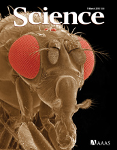 Cover of the March 5, 2010 issue of Science.