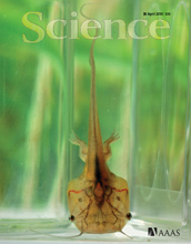 The researchers' findings appear in the April 30, 2010, issue of the journal Science.