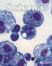 Cover of the June 10, 2011 issue of the journal Science.