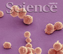 Cover of the July 2, 2010 edition of the journal Science.