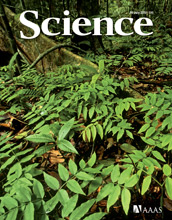 Cover of the July 16, 2010 issue of the journal Science.
