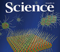 Cover of the July 30, 2010, issue of the journal Science.