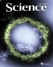 Cover of the August 20 issue of Science.