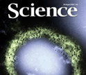 Cover of the August 20 issue of the journal Science.