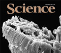 Cover of the October 7, 2011, issue of the journal Science.