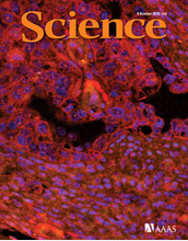 Cover of the October 8, 2010 issue of Science.