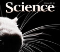 Cover of the October 14, 2011 issue of the journal Science.