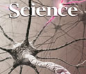 Cover of the November 4, 2011 issue of the journal Science.