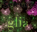 Cover of the November 5, 2010 issue of the journal Science.