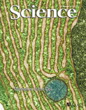 Cover of the November 25, 2011 issue of the journal Science