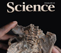 Cover of the journal Science showing two hands holding a bone structure