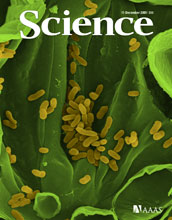 Cover of December 11, 2009 journal Science.