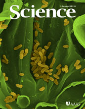 December 11, 2009 cover of the journal Science.