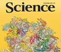 Cover of the December 16, 2011 issue of the journal Science.