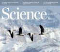 cover of the journal science jan 16 2015