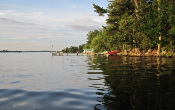 lake and trees