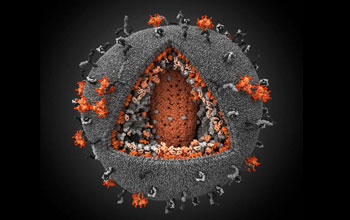 Illustration of a human immunodeficiency virus in 3D.