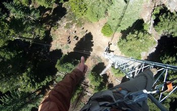 a scientist seen high atop of the tree canopy.