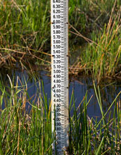 Photo of a gauge in a wetland that measures the rise of sea level.