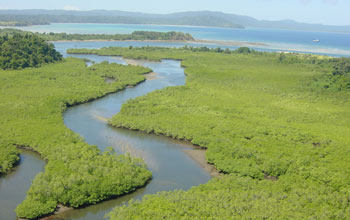 Boca Grande River, Coiba Island, Panama.