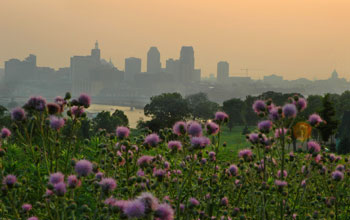 Photo with the skyline of St. Paul, Minn. in the background, wildflowers in the foreground.