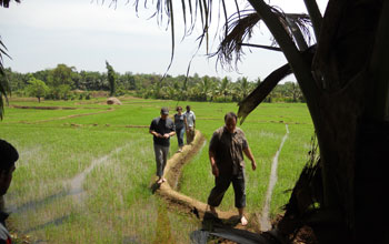 WSC researchers talking about paddy irrigation with a farmer in Sri Lanka.