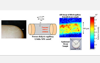 Illustration shows how a tiny needle full of carbon nanotubes could work as glucose sensor.