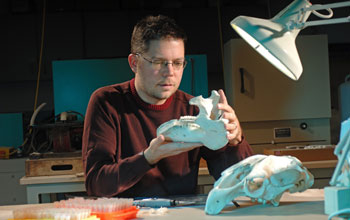 Photo of geologist Mark Clementz sampling tooth enamel from molars in a Florida manatee.