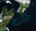 Aerial image of blooms of phytoplankton forming sea-swirls near New Zealand coast.