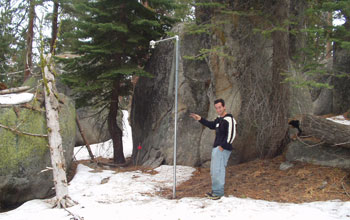 Photo of a researcher standing next to a snow depth sensor in Yosemite National Park.
