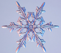 a tree-like snow crystal with branches.