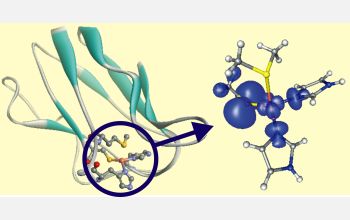 Copper-containing site in protein that is involved with transfer of electrons in photosynthesis