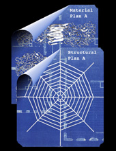 Spider silk blueprints.