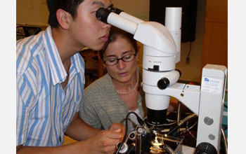 Photo of two undergrads participate in an STC summer research program.