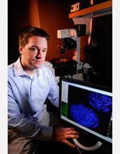 Photo of Todd McDevitt pointing to an aggregate of embryonic stem cells with blue-stained nuclei.